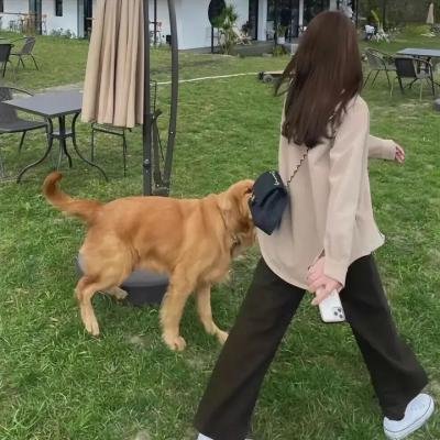 傲娇与章经粤语
